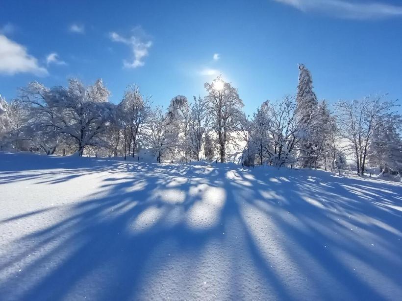 Gite De Pailherols Kültér fotó